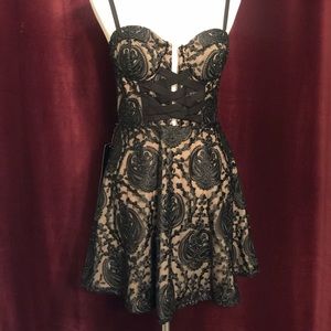 Gorgeous Black and nude lace Bebe dress